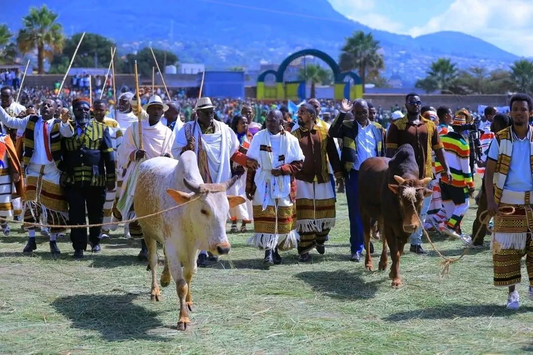 የሲዳማ ብሔር ተወካዮች በግፋታ
